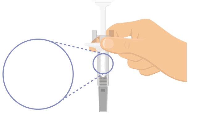 Дія хадліма