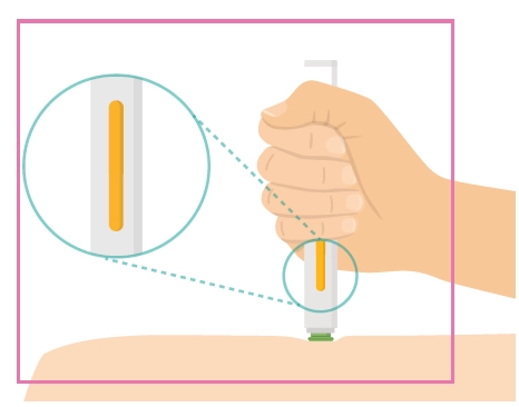 Властивості хадліма
