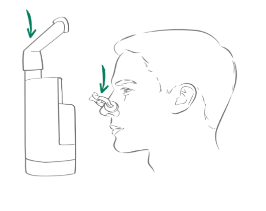 Схема юмерокс® інгал