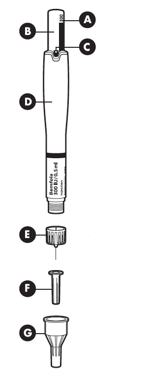 Фото бемфола