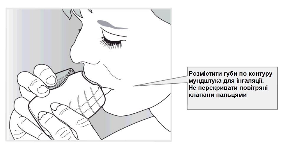 Склад аноро елліпта