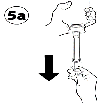 Вплив зонік