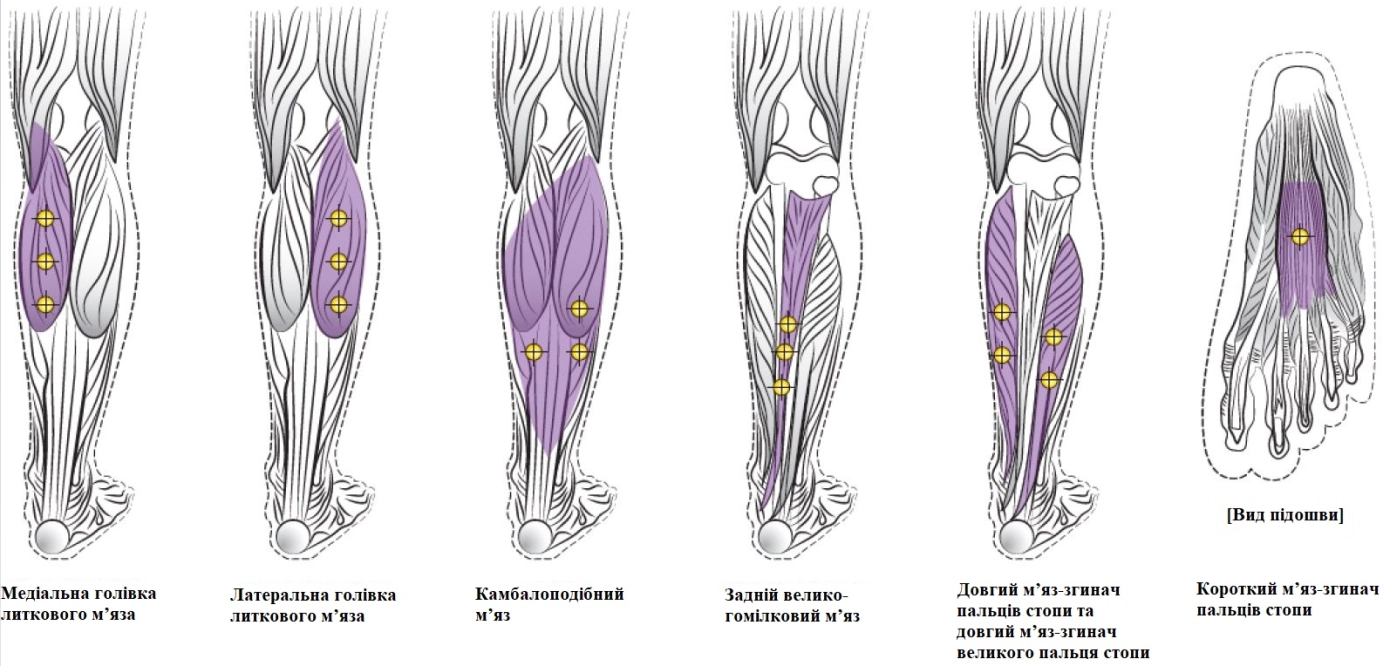 Властивості ботокс® комплекс ботулінічного токсину типу