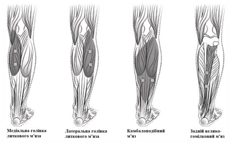Дія ботокс® комплекс ботулінічного токсину типу