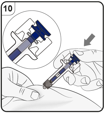 Дія джубонті