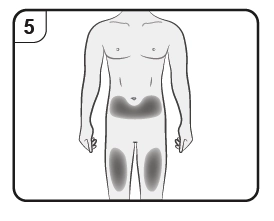 Опис джубонті